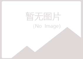 宁陕县夏日建筑有限公司